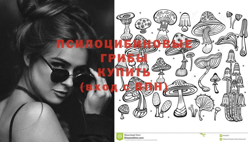 где можно купить   Белоярский  Псилоцибиновые грибы Psilocybine cubensis 